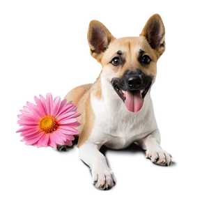 Dogs With Flowers PNG Buo PNG
