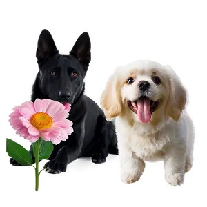 Dogs With Flowers PNG Kny90 PNG