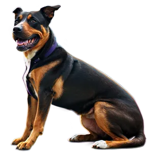 Dogs With Toys PNG Stt58