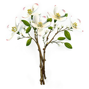 Dogwood Bouquet PNG 06282024