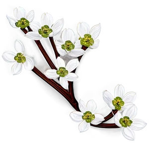 Dogwood Floral Arrangement Png 22 PNG image