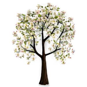 Dogwood Tree At Sunset PNG Qvr99