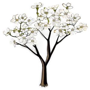Dogwood Tree Full Bloom PNG Pgn48 PNG