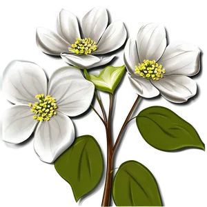 Dogwood Tree Line Art PNG 74 PNG