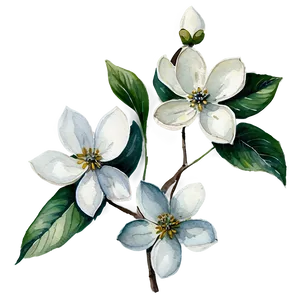 Dogwood Watercolor Painting PNG 86 PNG