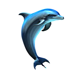 Dolphin And Moon Png 05062024 PNG image