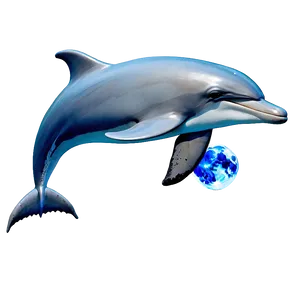 Dolphin And Moon Png Cwc PNG image