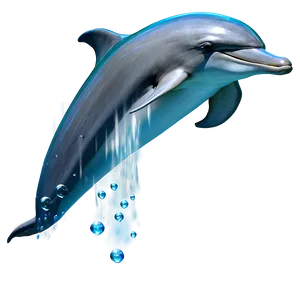 Dolphin Clipart Png Glr73 PNG image