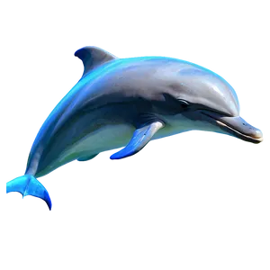 Dolphin Family Png Hvm PNG image