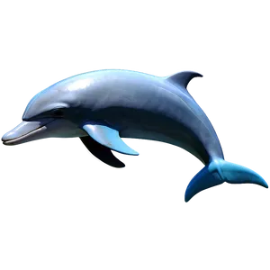 Dolphin Icon Png 75 PNG image