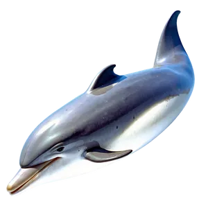Dolphin Icon Png Gne58 PNG image
