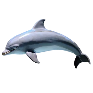 Dolphin Illustration Png Jef27 PNG image