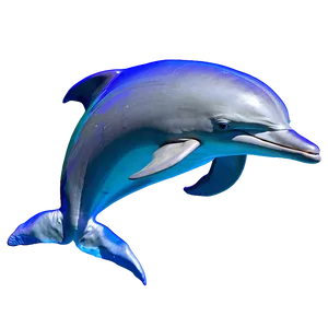 Dolphin In Water PNG 05062024