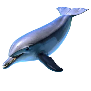 Dolphin Jump Png 05062024 PNG image