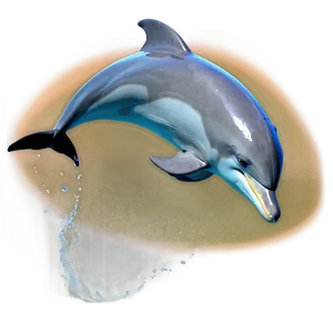 Dolphin Jump Png 62 PNG image