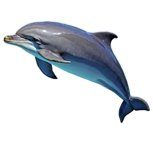 Dolphin Jump Png 96 PNG image