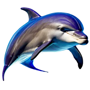 Dolphin Love Png 05062024 PNG image