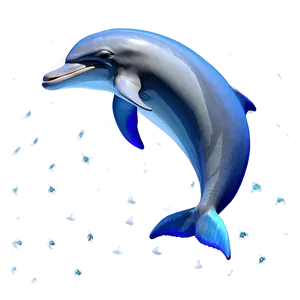 Dolphin Paradise Png Lwi36 PNG image