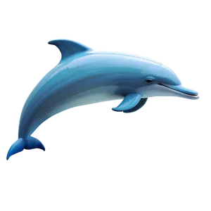 Dolphin Pattern Png 05062024 PNG image