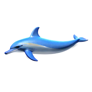 Dolphin Pattern Png 05062024 PNG image
