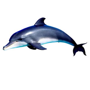 Dolphin Silhouette Png 05062024 PNG image