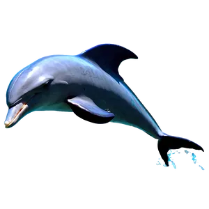 Dolphin Silhouette Png Iie87 PNG image
