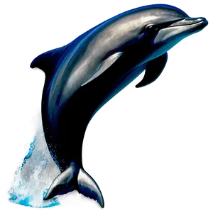 Dolphin Silhouette Png Kfr PNG image