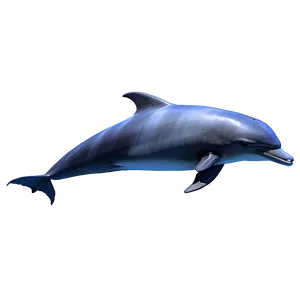 Dolphin Silhouette Png Mkk34 PNG image