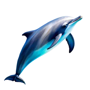 Dolphin Sketch Png 05062024 PNG image