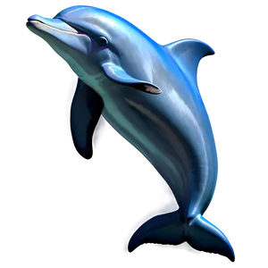 Dolphin Sketch Png Edt PNG image