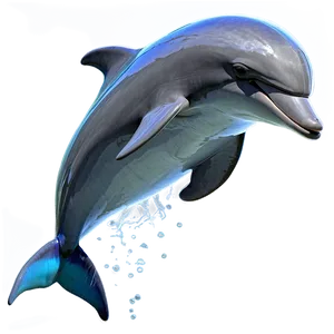 Dolphin Splash Png Ayf PNG image