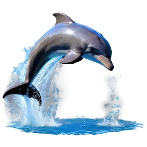 Dolphin Splash Png Gsk PNG image