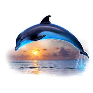 Dolphin Sunset Png 05062024 PNG image