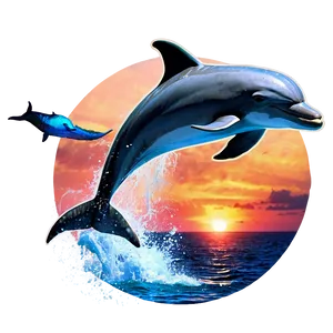Dolphin Sunset Png Urn14 PNG image