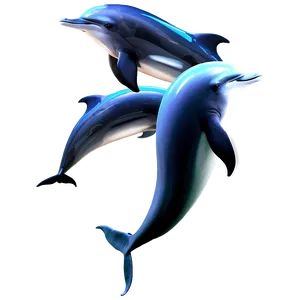 Dolphin Tail Png 05062024 PNG image