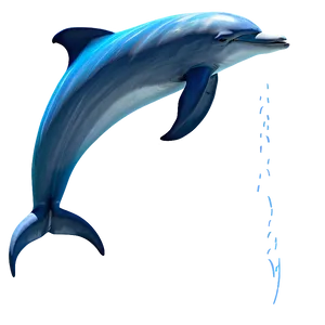 Dolphin Tail Png Pvd61 PNG image