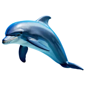 Dolphin Vector Png 91 PNG image