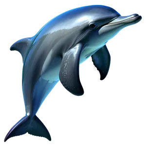 Dolphin Vector Png Mfy PNG image