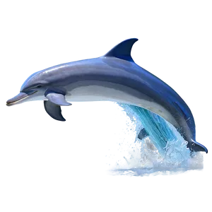 Dolphin Waves Png Wia PNG image