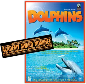 Dolphins Movie Poster2000 PNG image