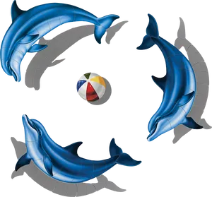 Dolphins_ Playing_ With_ Ball PNG image