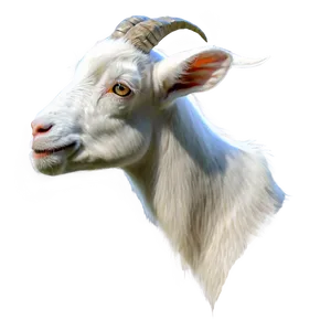 Domestic Goat Png Yev8 PNG image