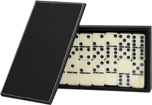 Dominoes Setin Open Box