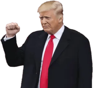 Donald Trump Fist Pump Gesture PNG image