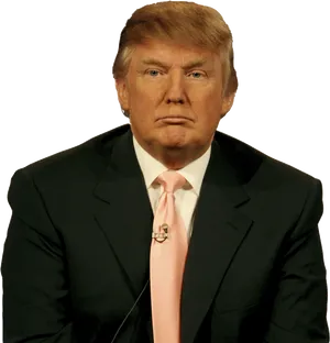 Donald Trump Portrait PNG image
