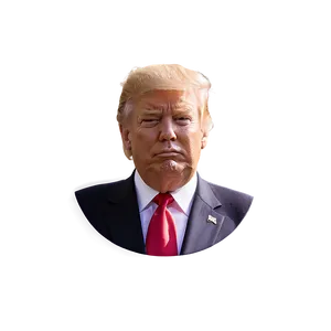 Donald Trump Twitter Icon Png 45 PNG image