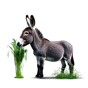 Donkey Eating Grass PNG 05232024