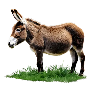 Donkey Eating Grass PNG Alg
