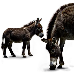 Donkey Family PNG Sht