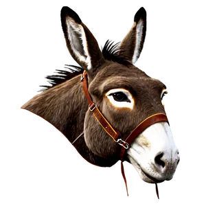Donkey Head PNG 05232024